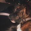 beanbooth